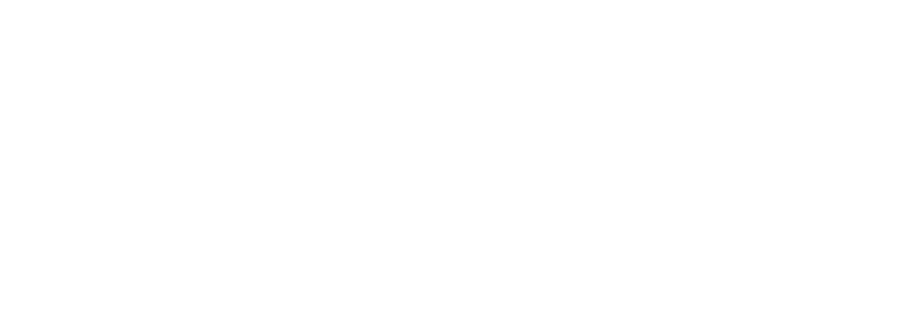 WINNER ACADEMIA